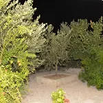 Διαμέρισμα Mico's *